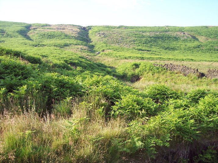 File:Buck Stones Well - geograph.org.uk - 25875.jpg