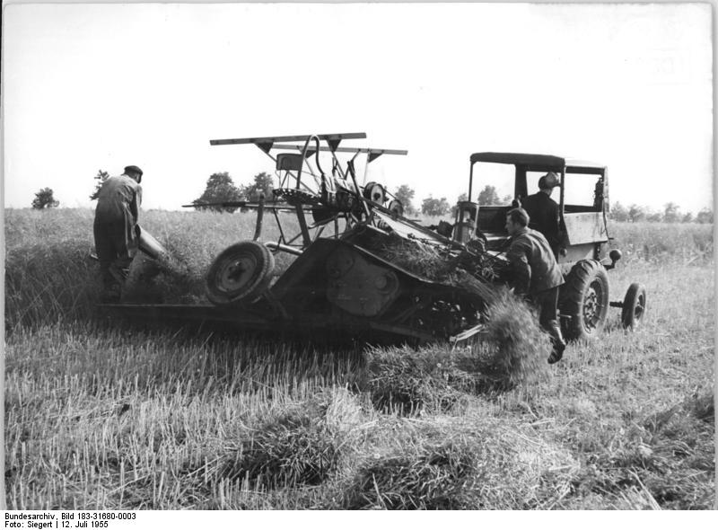 File:Bundesarchiv Bild 183-31680-0003, Dörschnitz, Rapsernte mit Mähbinder.jpg