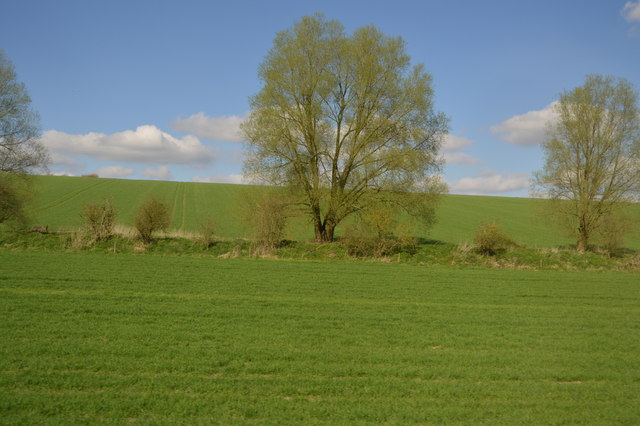 File:Canal feeder - geograph.org.uk - 5564073.jpg