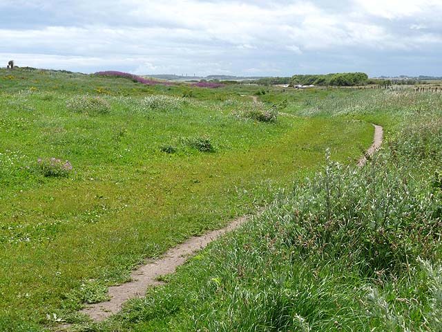 Coast and Castles route at Druridge Bay - geograph.org.uk - 2518679