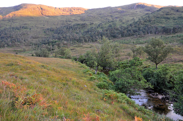 File:Cona River - geograph.org.uk - 954679.jpg