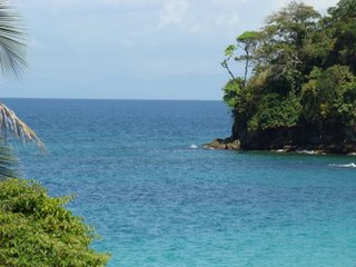 Contadora Island Tropical View.jpg