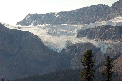 File:Crowfoot Glacier.jpg