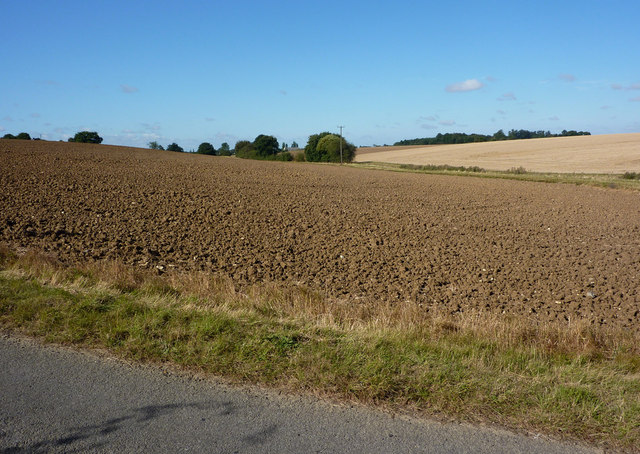 File:Fields near Gosling Green - geograph.org.uk - 1474181.jpg