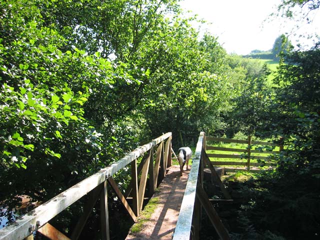 File:Footbridge over the River Monnow - geograph.org.uk - 73941.jpg