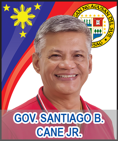 File:Gov Cane.png