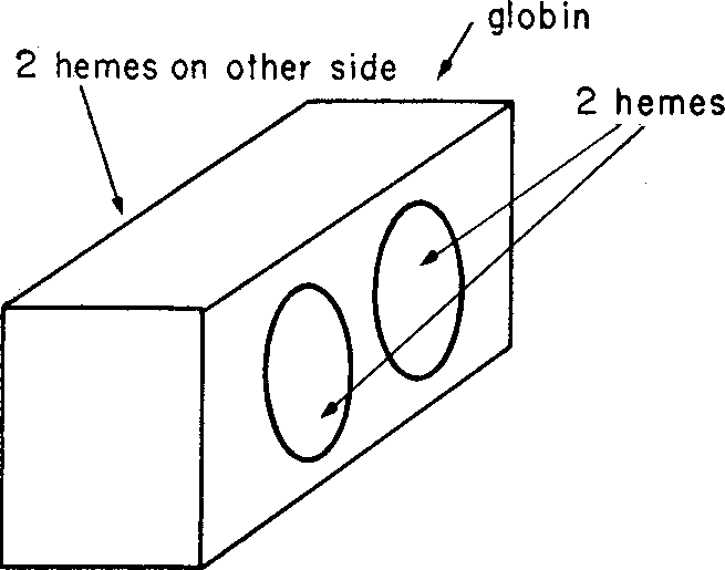 File:Hemoglobin and the Universe - Figure 1.png