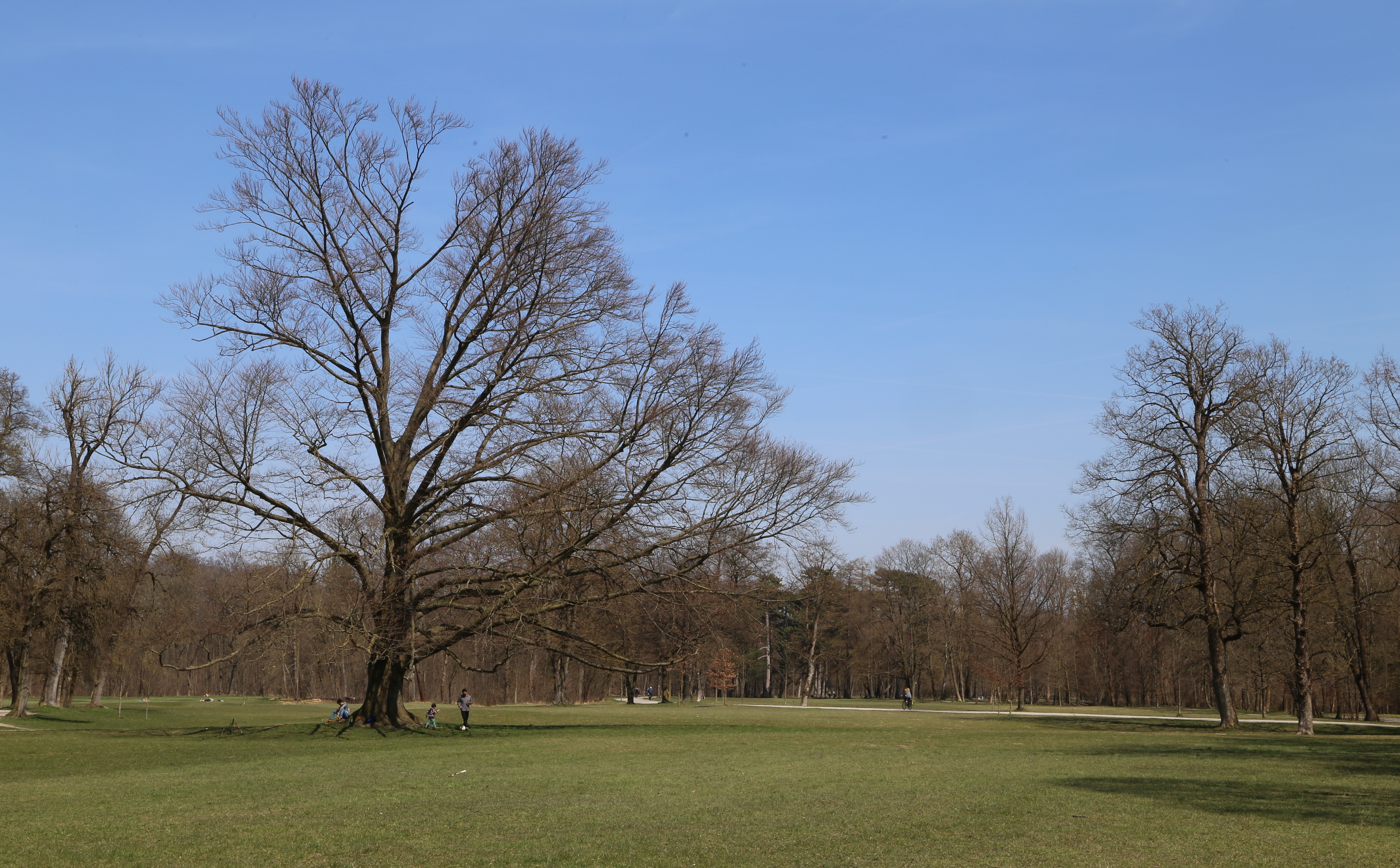 File Hirschau Englischer Garten Nordteil Muenchen 13 Jpg