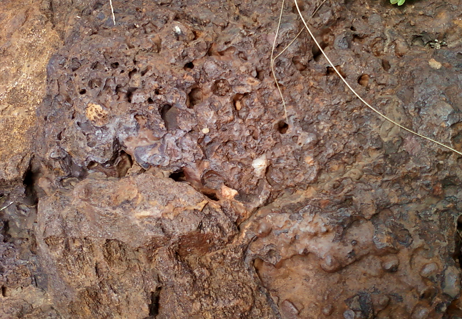 File:Igneous-rock (scoria type) at Rushikonda, Visakhapatnam.jpg