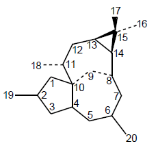 File:Ingenano - Numeración.png