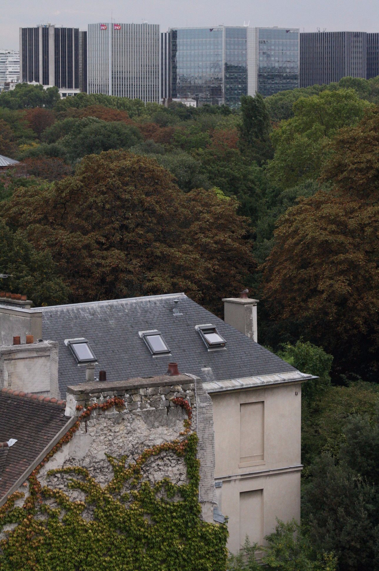 Jardin Des Plantes 5eme