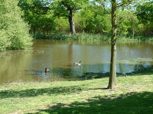 are dogs allowed in lake farm county park