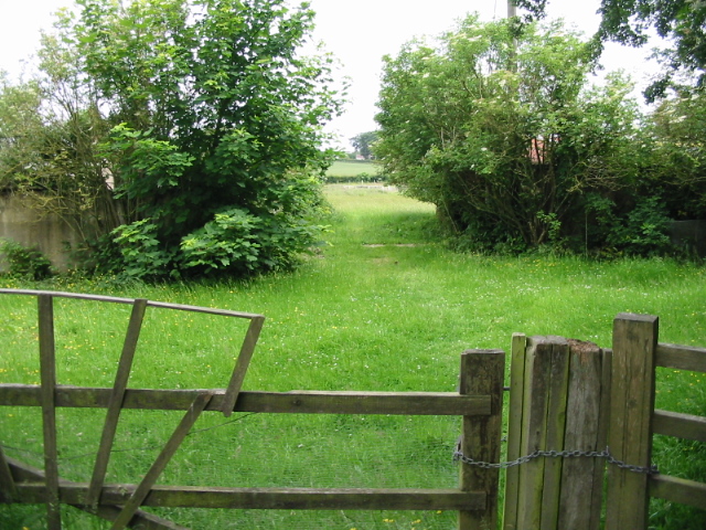 File:Looking E from lane to Ridge Row - geograph.org.uk - 853697.jpg