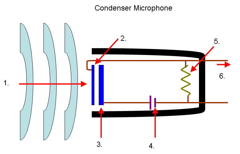 Dynamic vs Condenser Microphones: Which Is the Best for Gaming and Streaming?  – Dragon Image