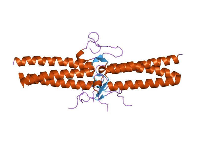 File:PDB 1jy2 EBI.jpg