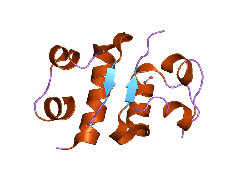 File:PDB 1qj0 EBI.jpg