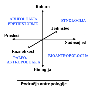 Antropologija