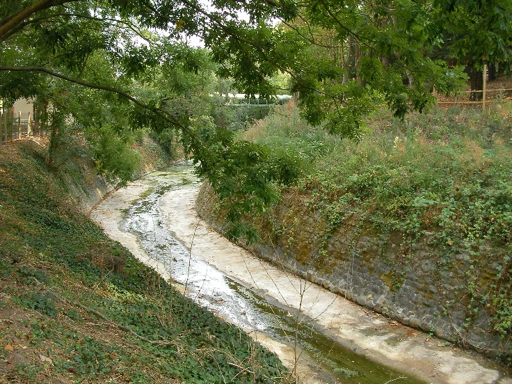 File:Rio Salso.JPG