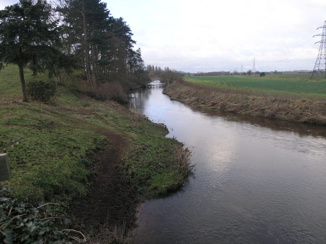 File:River Tern - geograph.org.uk - 328831.jpg