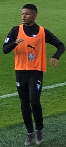 Romain Gall - Elfsborg.jpg