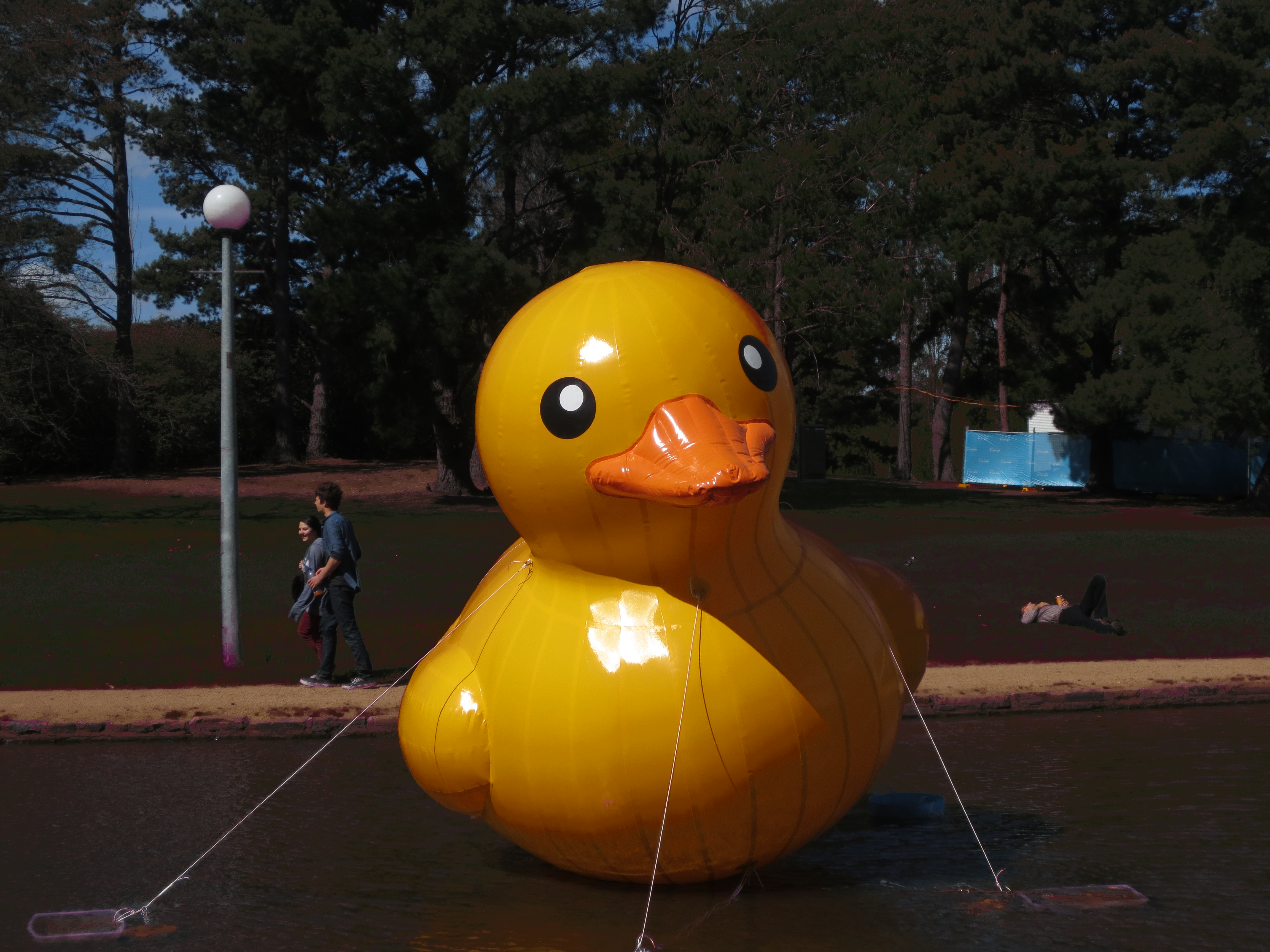 World's Largest Rubber Duck - Wikipedia