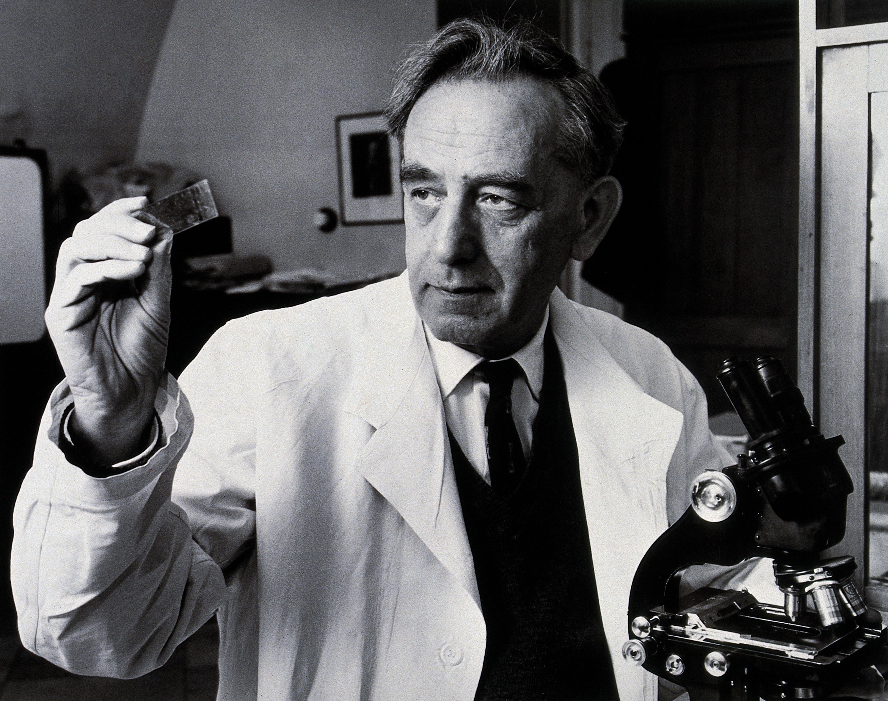 Saul Adler. Photograph by Harris. Wellcome V0025953.jpg