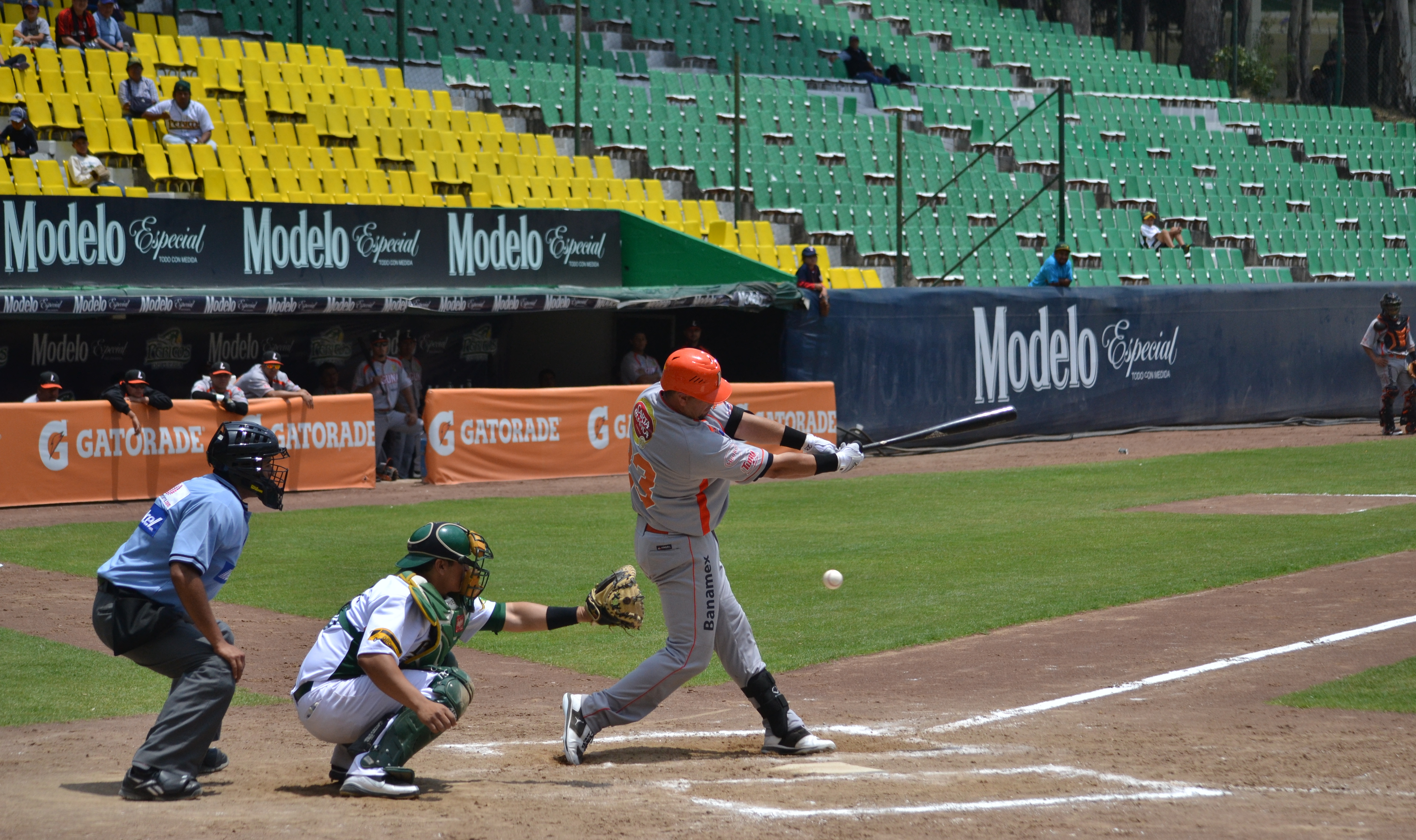Liga Mexicana de Beisbol, Sitio Oficial