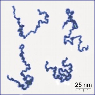 https://upload.wikimedia.org/wikipedia/commons/0/03/Single_Polymer_Chains_AFM.jpg