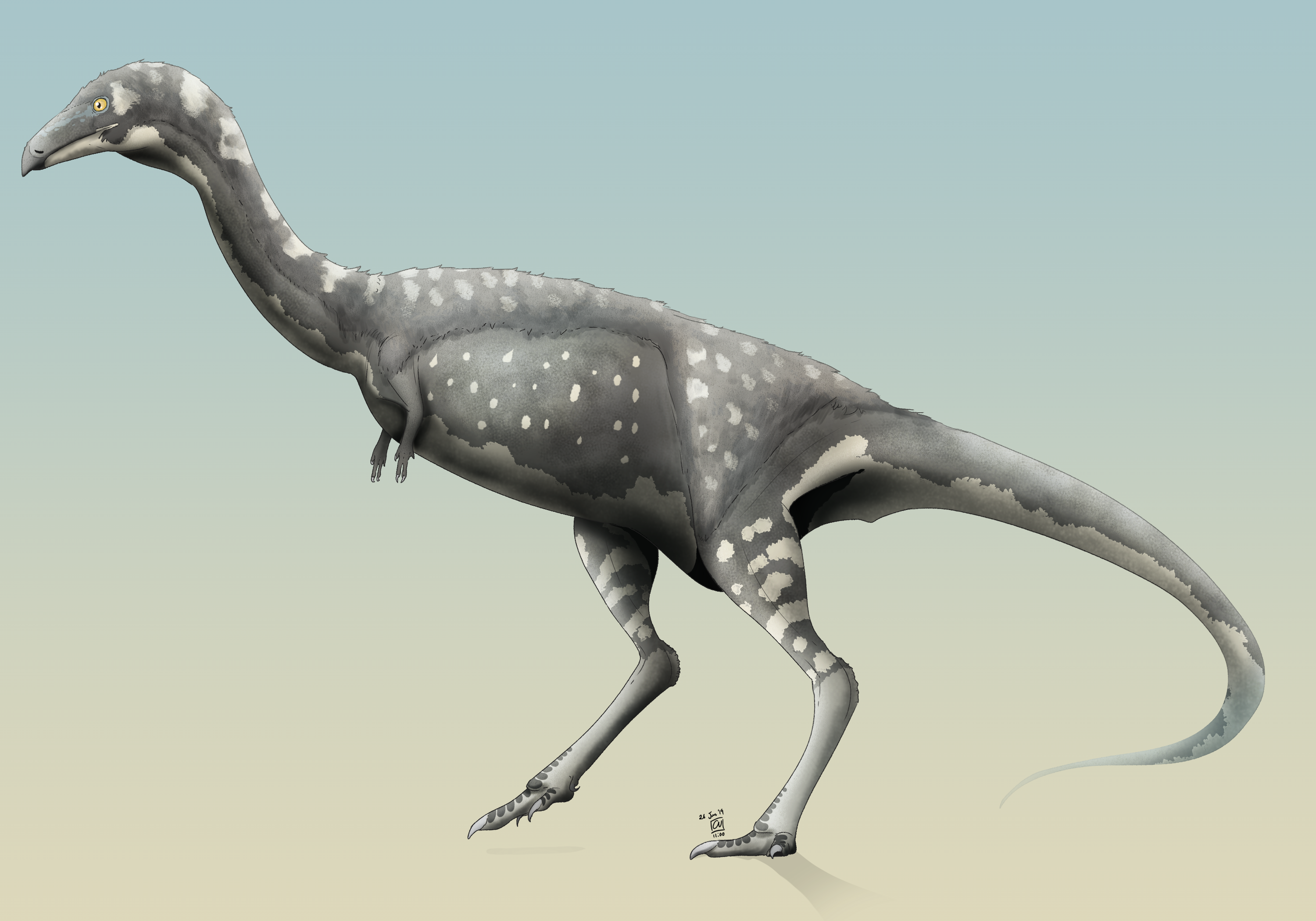 Vespersaurus cnye 06262019.png