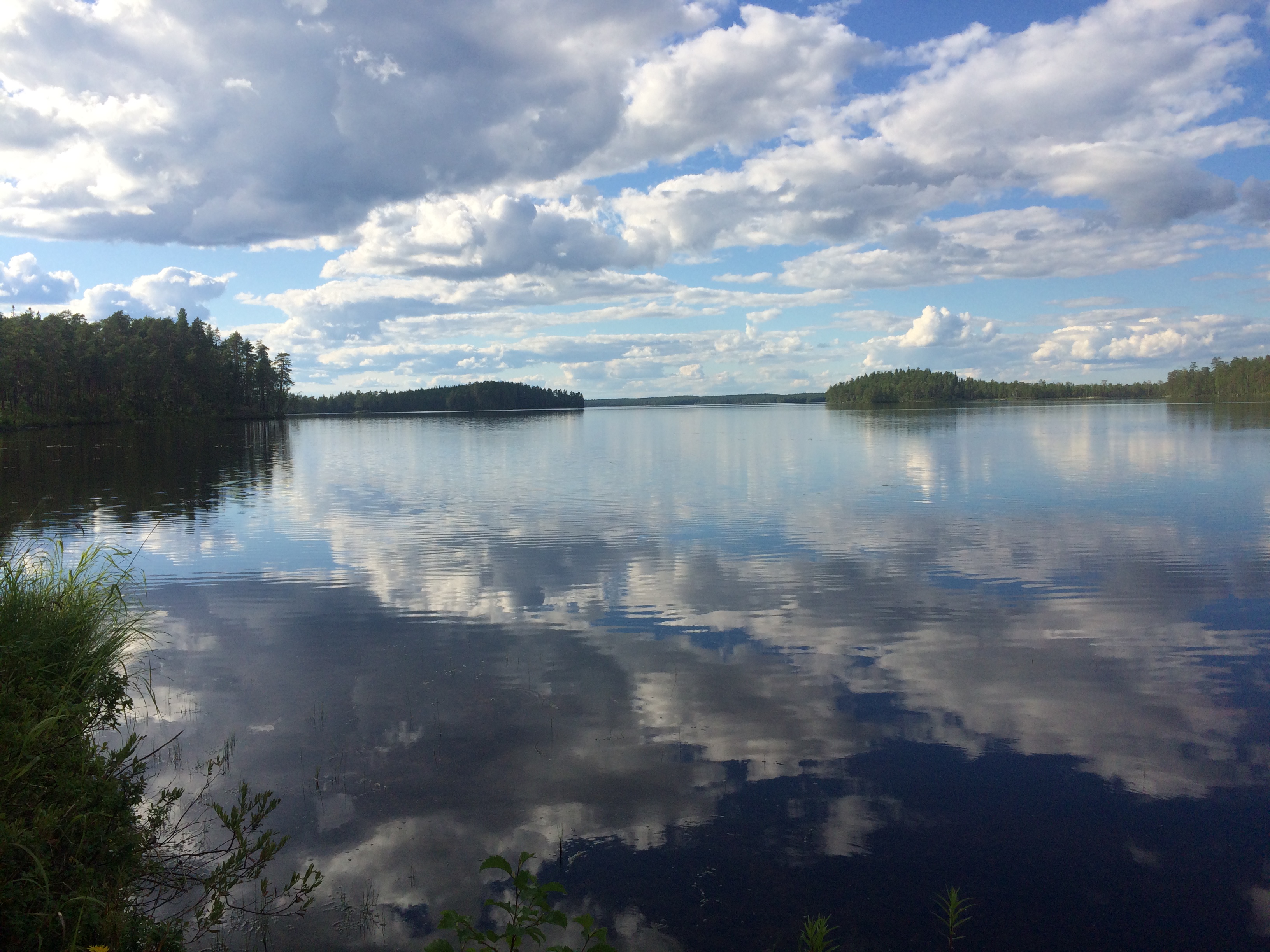 Lake 1. Озеро Варпаярви. Озеро Шушер Марий Эл. Озеро Теньярви Карелия. Озеро Вирнаволокское Карелия.