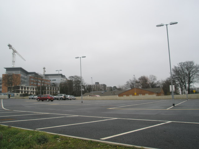 File:A rare sight - geograph.org.uk - 667981.jpg