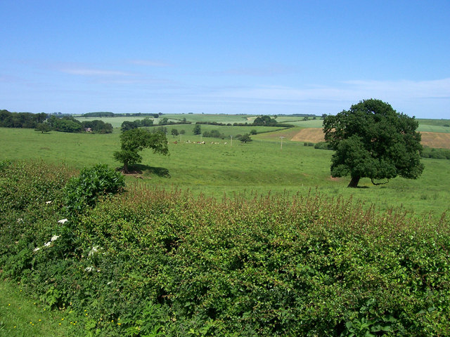 File:Biscathorpe Park - geograph.org.uk - 186555.jpg