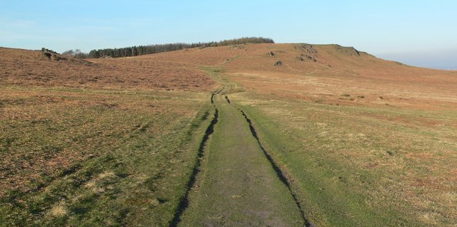 Bradgate Country Park, Leicestershire - geograph.org.uk - 389798