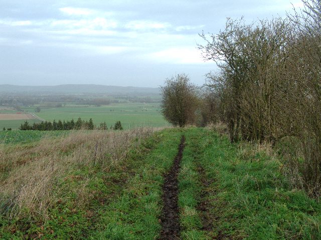 File:Bridleway into Vale of Pewsey - geograph.org.uk - 301347.jpg