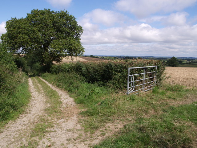 File:Droveway Lane - geograph.org.uk - 542996.jpg