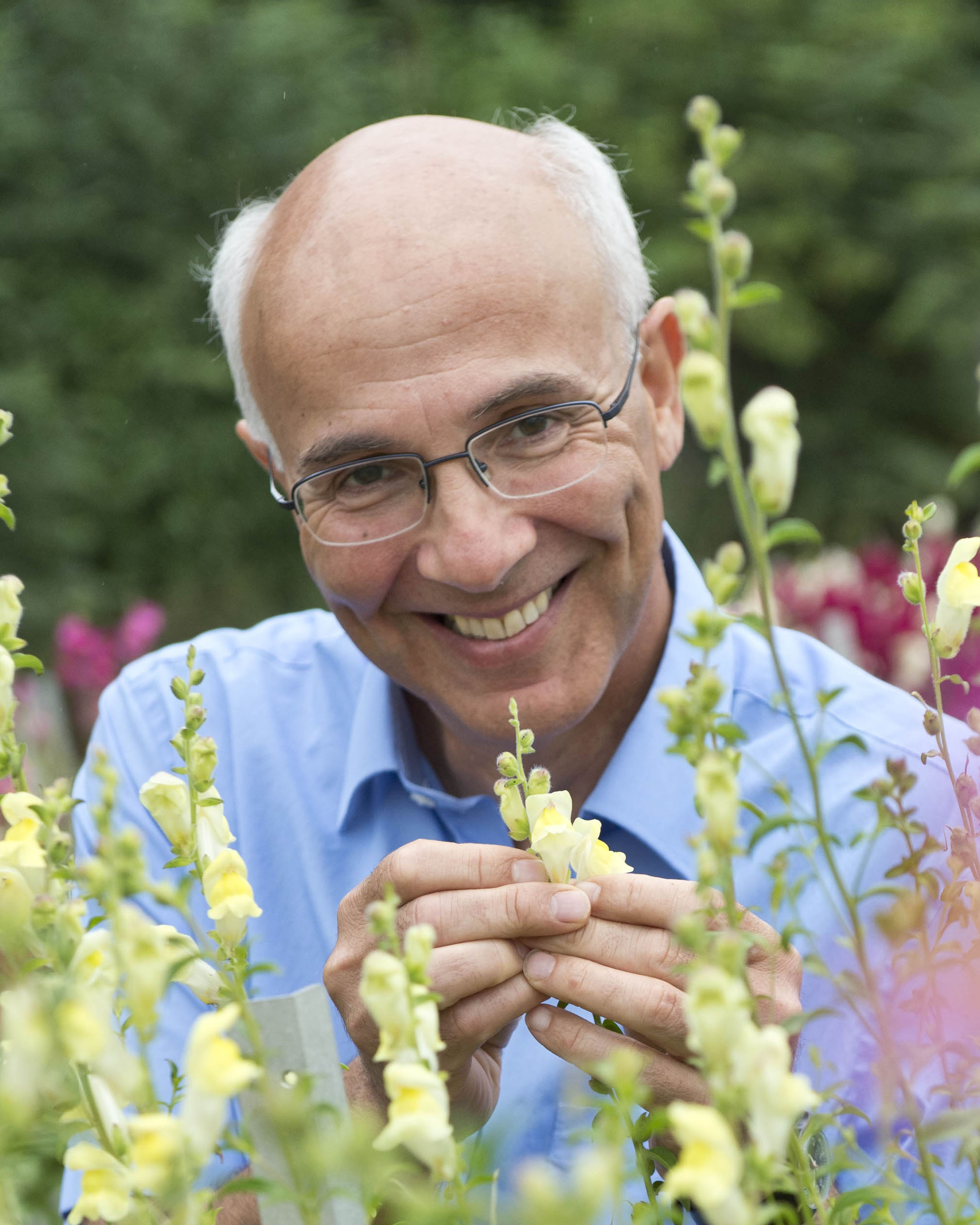 Enrico Coen mit Löwenmäulchen