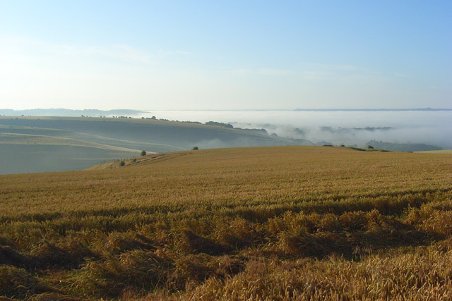 File:Farmland above Mere - geograph.org.uk - 909664.jpg