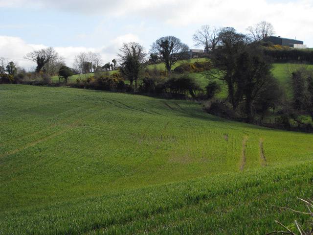 File:Fields near Ballylesson - geograph.org.uk - 748702.jpg