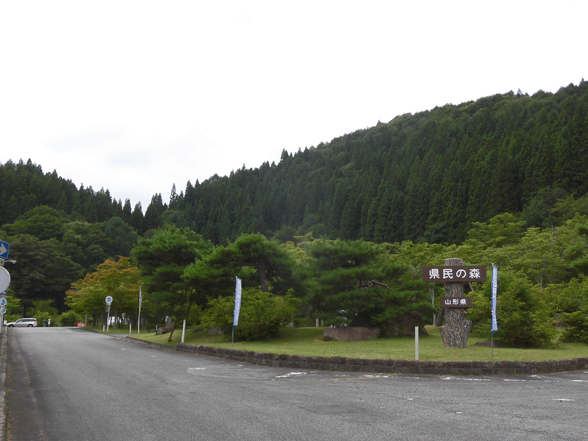 File Forest Of Prefecture Yamagata Yamanobe Jpg Wikimedia Commons