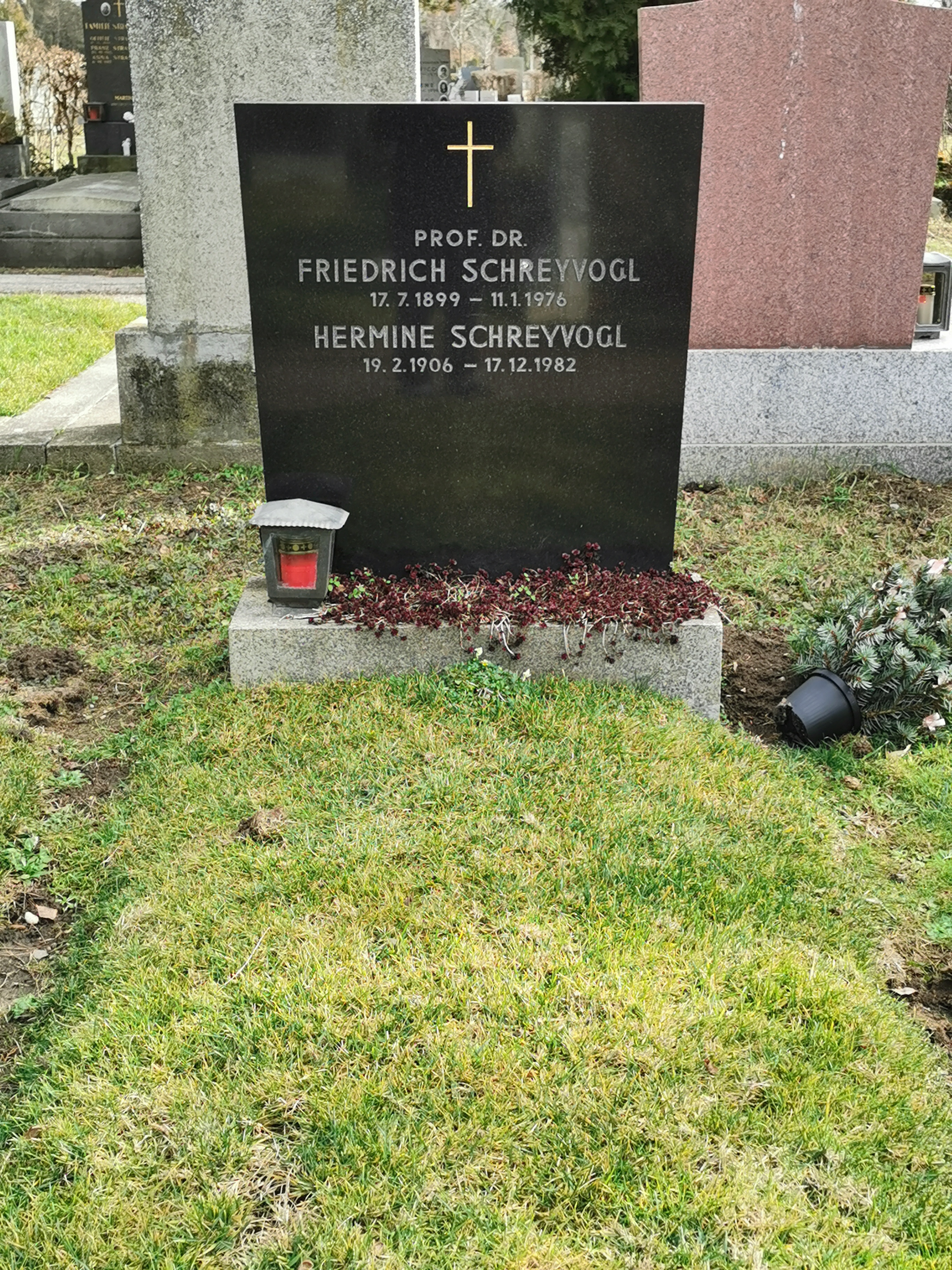 Grabstätte von Friedrich Schreyvogl