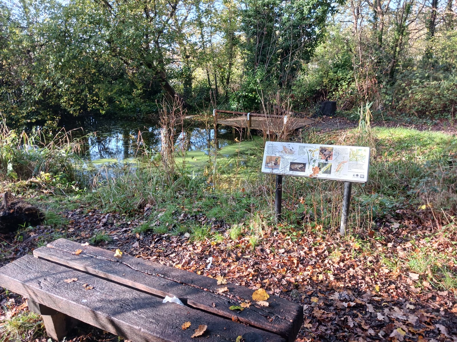 Grove Park Nature Reserve - Wikipedia