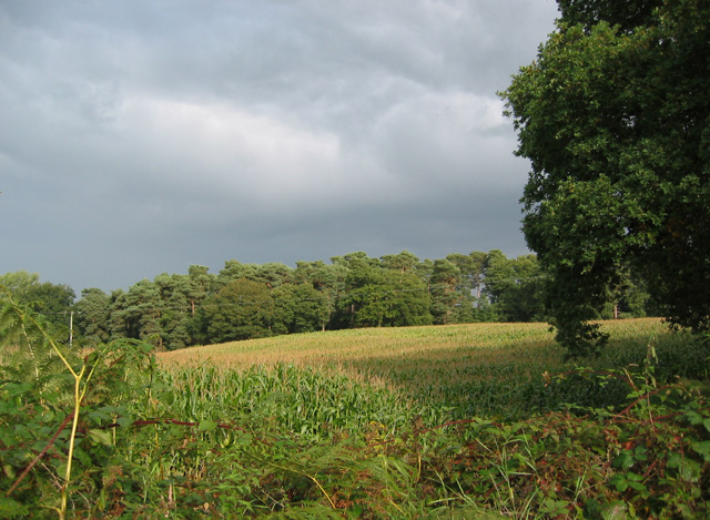 Hatherton, Cheshire