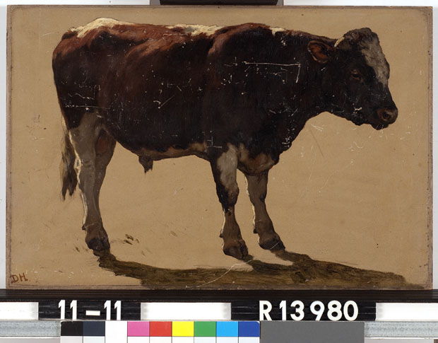 File:J.H.L. de Haas - Studie van een stier - R13980 - Cultural Heritage Agency of the Netherlands Art Collection.jpg