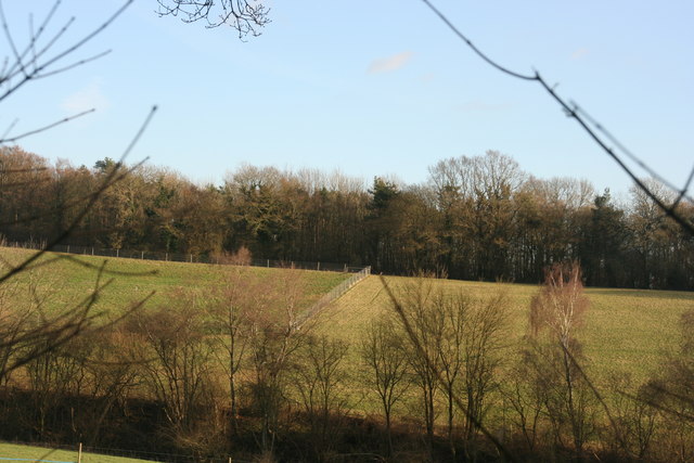 Looking across from Spanden Wood to Minepit Wood - geograph.org.uk - 1691050