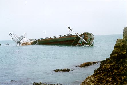 MV Cita