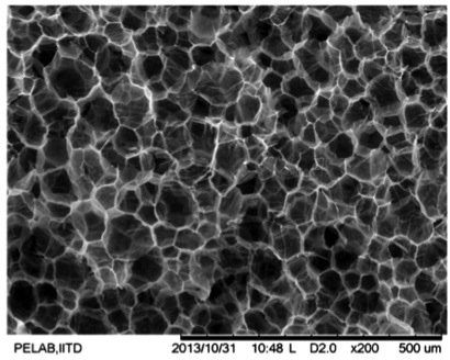 Foam cell - Wikipedia