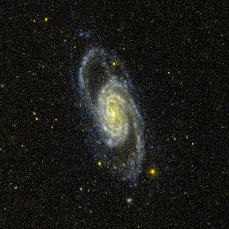 Ngc 2903 ç»´åŸºç™¾ç§' è‡ªç