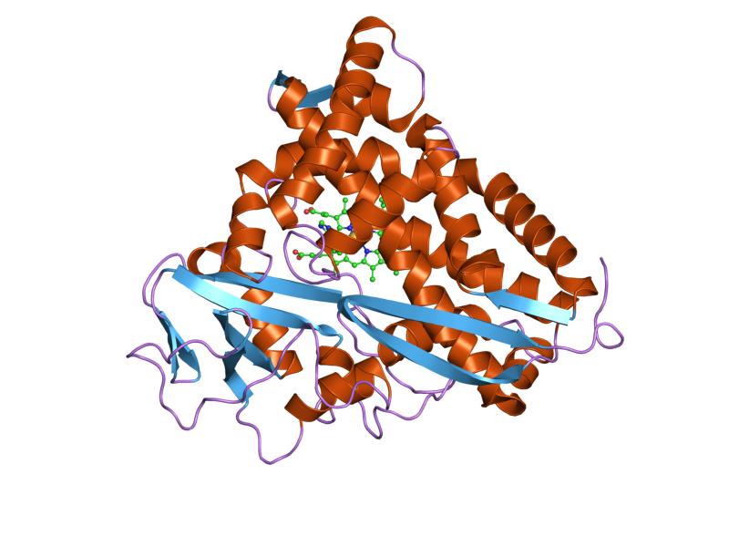 File:PDB 1phe EBI.jpg