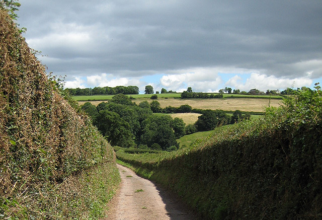 File:Pinford Lane - geograph.org.uk - 915763.jpg