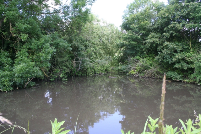 File:Pond, Eastington - geograph.org.uk - 853401.jpg